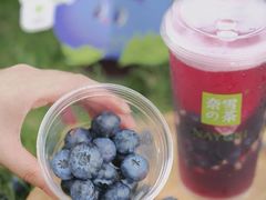 霸气蓝莓-奈雪的茶(宝龙一城店)