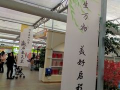 -荷兰花海