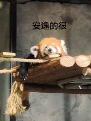 -Zoolung Zoolung动物主题公园(海信广场店)