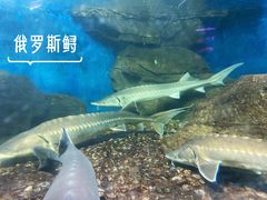 -泉州海丝野生动物世界