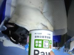 -恒幸动物医院·急重症转诊中心·神经内外科·CT核磁
