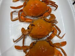 -大东海海鲜酒楼(渔人码头总店)