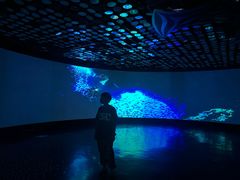 -同济大学四平路校区深海探索馆