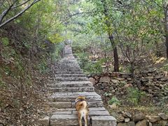 -遵化市禅林寺古银杏风景园