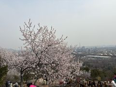 -白水寺森林公园