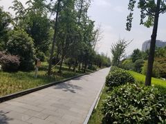 -唐城墙遗址公园