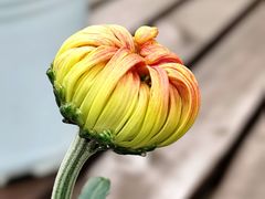 -共青国家森林公园-售票处