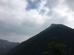 -银瓶嘴森林公园