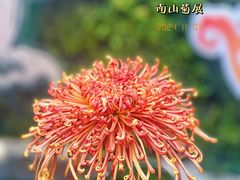 -南山植物园