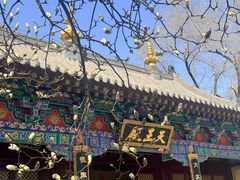 -护国法轮寺
