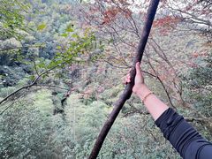 -莫干山风景区