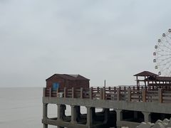 -奉贤海滩