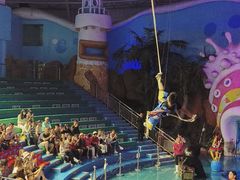 -烟台海昌鲸鲨海洋公园