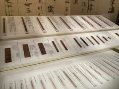 -长沙简牍博物馆