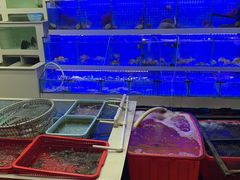 水产区-南蚝小贝海鲜特色餐厅(南澳岛店)