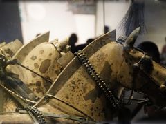 -秦始皇帝陵博物院(兵马俑)