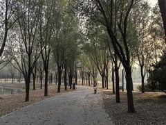 -东郊湿地公园