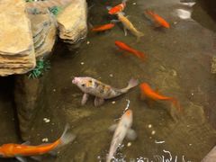 -鸥迪足道(湖南示范店)