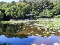 -香山公园