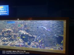 -秦皇岛新澳海底世界