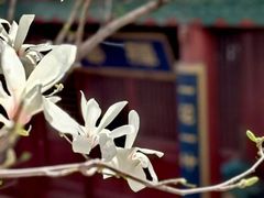 -潭柘寺景区