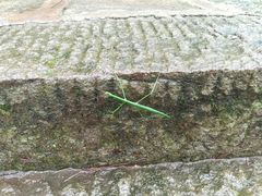 -罗田薄刀峰风景区