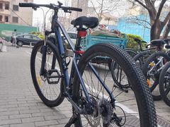 -道路口单车爱瓦士dahon大行