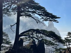 -黄山风景区
