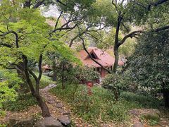 -中国茶叶博物馆(双峰馆区)