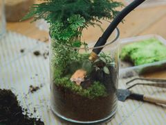 -弗劳尔花艺坊(龙涛店)