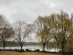 -东华大学(松江校区)