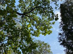 -鲁山国家森林公园