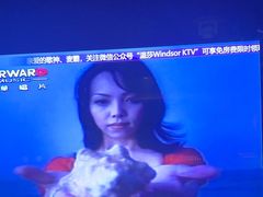 -温莎KTV(珠江路店)