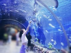 -华夏文旅海洋公园