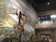 -自贡恐龙博物馆