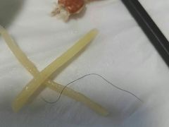 -宾朋海鲜特色美食餐厅·纯手工鲅鱼水饺(兴海路店)