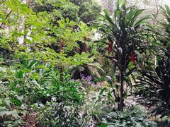 -墨尔本皇家植物园
