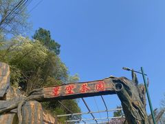 -长沙黑麋峰国家森林公园