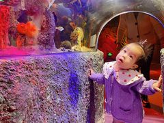 -沈阳海洋探索中心