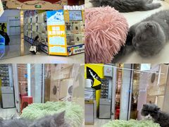 -万达广场(南宁青秀店)