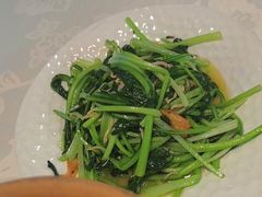 -北国之春国宴(乌兰察布店)