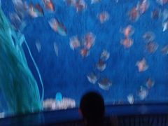 -沈阳海洋探索中心