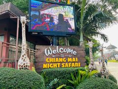 -清迈夜间动物园