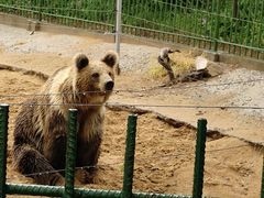 -秦皇岛野生动物园