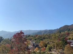 -塔川景区