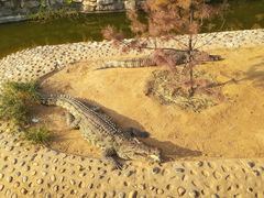 -石家庄市动物园