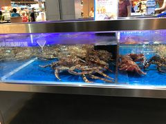 -盒马X会员店(王府井奥莱UP TOWN店)