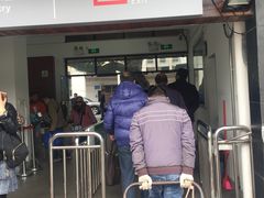 -珠江夜游省总码头