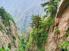 -老君山风景名胜区