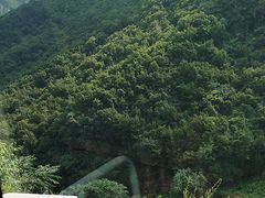 -太行锡崖沟旅游度假区